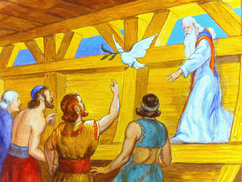 Dessa vez ela retornou com um galho de oliveira. As águas estavam baixando, e logo Noé e sua família poderiam sair da arca e viver, mais uma vez, sobre a Terra. – Slide número 43