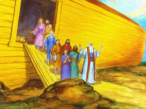 Certamente, logo após isso, Deus disse a Noé para pegar sua família... – Slide número 44