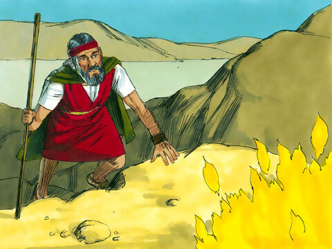 Então, Moisés decidiu dar uma olhada mais de perto. De repente, Deus o chamou de dentro da sarça ardente, "Moisés". "Aqui estou, Senhor", respondeu Moisés. – Slide número 3