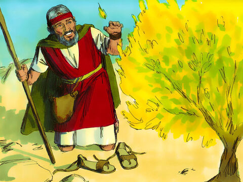 Deus disse a Moisés para tirar os sapatos, pois ele estava em solo sagrado. “Eu sou o Deus de Abraão, Isaque e Jacó”, anunciou Deus. Com isso, Moisés escondeu o rosto porque tinha medo de olhar para Deus. – Slide número 4