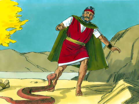 Quando ele jogou seu cajado no chão, este se tornou uma cobra. Moisés ficou com medo e saltou para longe. “Estenda a mão e pegue a cobra pela cauda”, disse o Senhor. – Slide número 13