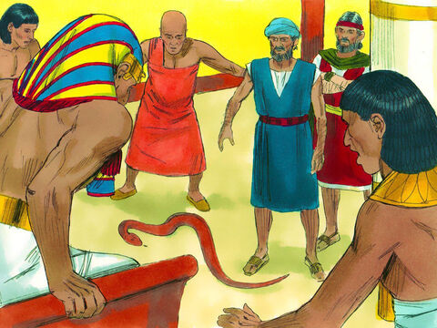 O faraó exigiu que Moisés e Arão lhe mostrassem um milagre. Arão jogou seu cajado no chão e ele se tornou uma cobra. O faraó convocou seus sábios e feiticeiros. Eles jogaram seus cajados no chão e seus cajados também se tornaram cobras. – Slide número 12