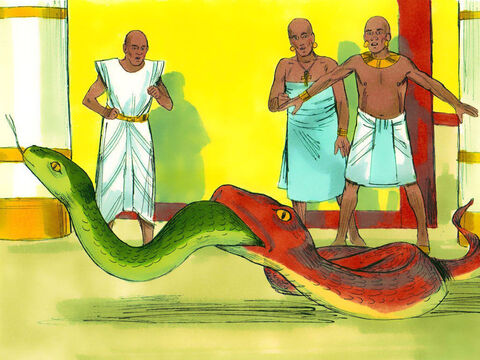 Mas a cobra de Arão engoliu as cobras deles. – Slide número 13