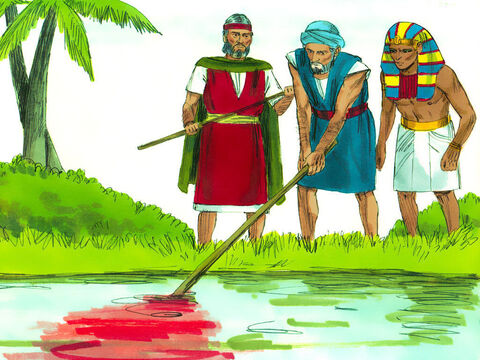 Então Arão fez o que Deus havia instruído e atingiu o rio Nilo com seu cajado. A água foi transformada em sangue. Peixes morreram, os egípcios não podiam beber a água e o rio cheirava mal. – Slide número 2