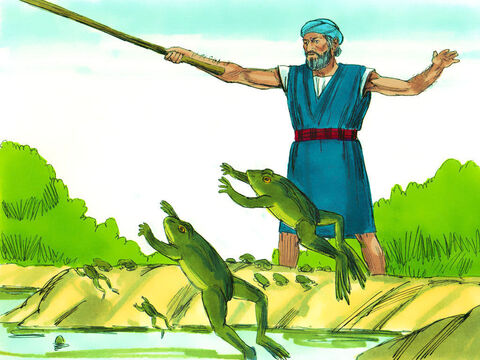 Êxodo 8 Sete dias depois, Deus disse a Moisés para dizer a Arão para estender seu cajado sobre os riachos, canais e lagoas para fazer as rãs saírem para a terra. – Slide número 4