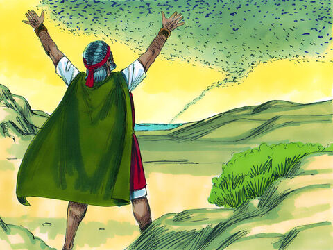 Quando Moisés deixou o faraó e orou, o vento mudou de direção e soprou do oeste, levando os gafanhotos para o Mar Vermelho. – Slide número 5