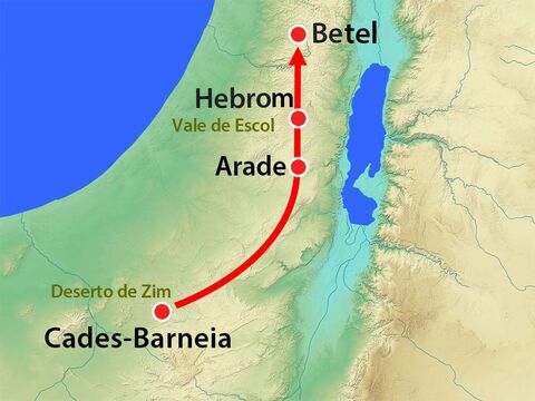 Os doze espiões partiram de Cades Barneia pelo deserto de Negev, onde viviam os amalequitas, e depois subiram para a região montanhosa. – Slide número 5