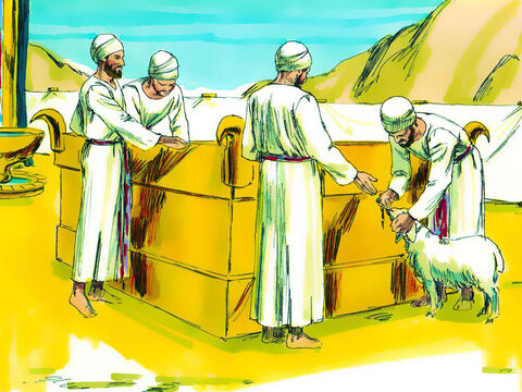 O altar seria usado para que as pessoas trouxessem um animal macho sem defeito, gado, ovelhas, cabras (ou pássaros se fossem pobres). Eles colocariam a mão no animal para mostrar que ele estava sendo oferecido para fazer as pazes com Deus (Levítico 1: 4). – Slide número 22