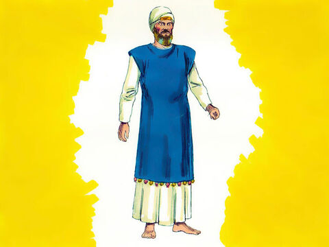 Êxodo 39 As vestes dos sacerdotes eram feitas de linho branco. Uma vestimenta especial foi feita para o sumo sacerdote, Arão. Ele tinha uma túnica azul sem mangas. – Slide número 24