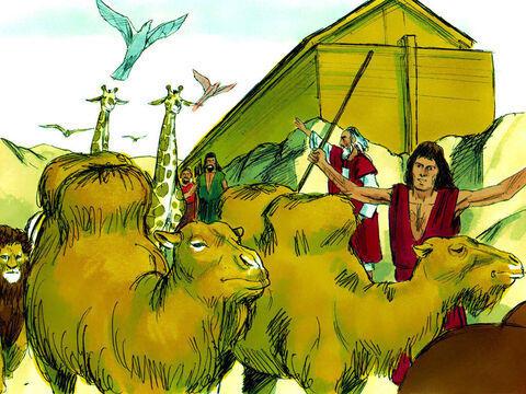 Noé removeu o teto da arca e viu que a terra estava secando. Dois meses depois, a terra estava seca o suficiente para que Noé, sua família e os animais deixassem a arca. – Slide número 21