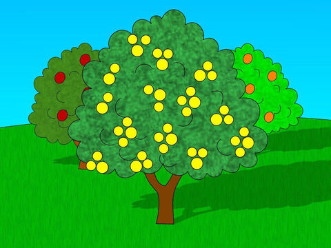 Deus avisou Adão que ele poderia comer de qualquer árvore no jardim, com exceção da árvore do conhecimento do bem e do mal. Se Adão comesse do fruto dessa árvore, ele morreria. – Slide número 3