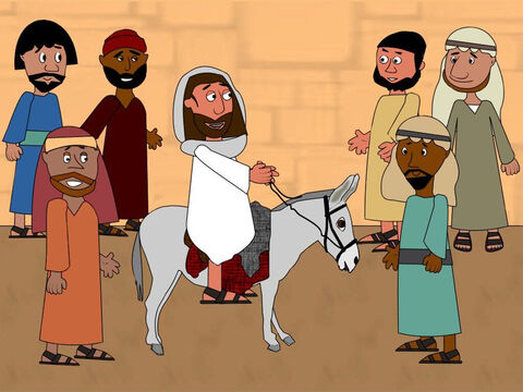 Quando os discípulos voltaram, eles colocaram suas túnicas sobre o jumento e Jesus sentou-se sobre ele. Depois, Ele cavalgou em direção a Jerusalém e foi seguido por Seus discípulos. – Slide número 3