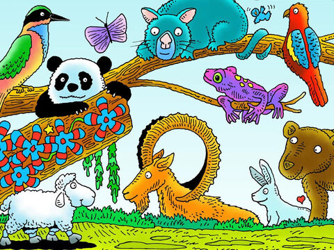 A ovelhinha vagueou. Você consegue vê-la? Quais outros animais você consegue ver? (Da esquerda para a direita: abelharuco, panda, gambá, íbex, sapo dardo venenoso, rosela, coelho, urso) – Slide número 6
