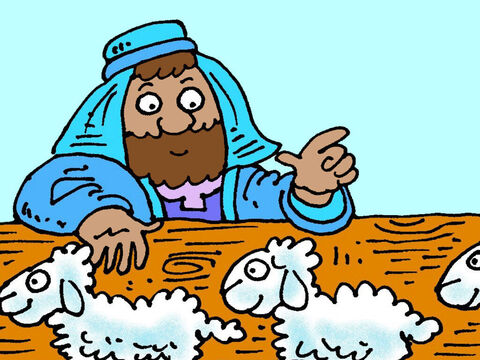 Todos os dias ele as contava ao entrarem no aprisco das ovelhas. 97… 98… 99 … – Slide número 2