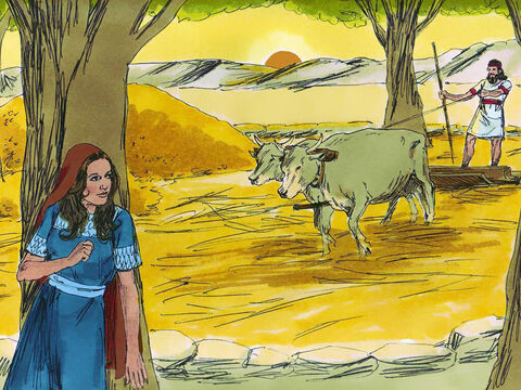 Rute desceu até a eira onde Boaz estava trabalhando, certificando-se de que ela não fosse vista. – Slide número 2