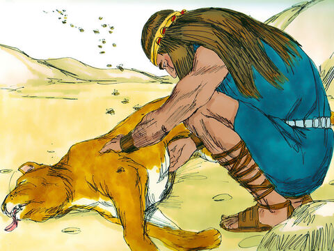 Quando Sansão e seus pais estavam indo para Timna, um jovem leão atacou de repente Sansão. O Espírito do Senhor veio poderosamente sobre ele, e ele rasgou as mandíbulas do leão com as próprias mãos. Mais tarde, quando ele voltou a Timna para o casamento, ele saiu do caminho para olhar a carcaça do leão. Ele descobriu que um enxame de abelhas tinha feito um pouco de mel na carcaça, colocou um pouco do mel em suas mãos e o comeu. – Slide número 14