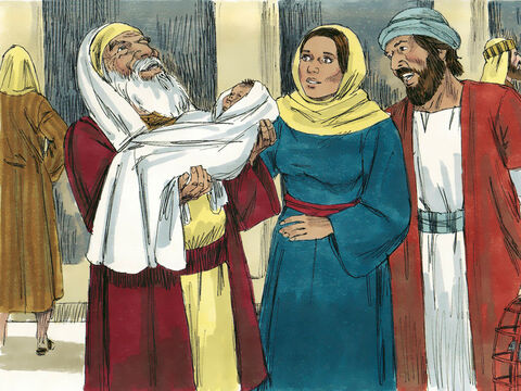 Quando ele viu Maria, ele tomou o bebê em seus braços e louvou a Deus, dizendo: “Senhor, agora posso morrer contente! Pois eu vi o Salvador do mundo como você me prometeu que veria”. – Slide número 4