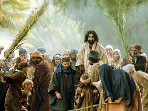 Eles jogaram suas túnicas sobre o jumentinho e Jesus se sentou sobre ele. – Slide número 8