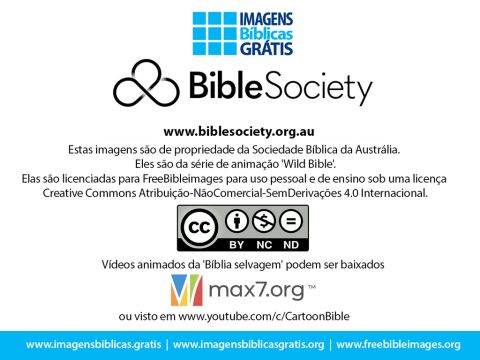 Slide número 12