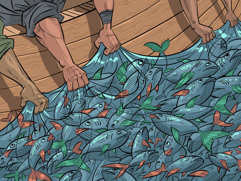 Quando os pescadores obedecem a Jesus e lançam suas redes no outro lado do barco, eles pescaram muitos peixes.<br/>Lucas 5:1-11 – Slide número 3