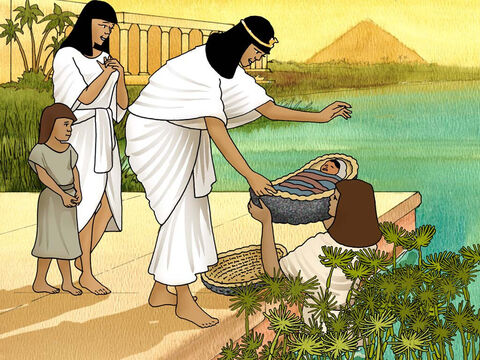 A filha de Faraó veio ao rio com as suas servas. Elas encontraram o bebê em um cesto. A filha de Faraó amou o bebê hebreu. A irmã do bebê pergunto à filha de Faraó se ela gostaria que encontrassem uma mulher para cuidar do bebê. A filha do Faraó disse que sim. Assim, a irmã do bebê correu para trazer a sua mãe. (Êxodo 2:5–8) – Slide número 5