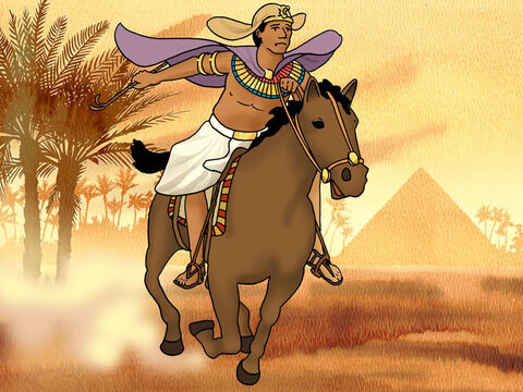 Alguém viu Moisés matar o egípcio. As notícias acerca disso chegaram ao Faraó, e ele quis matar Moisés. Moisés teve de fugir de sua casa e deixar suas famílias hebreia e egípcia. Quando tinha perto de quarenta anos, ele viajou sozinho para uma terra distante para se esconder de Faraó. (Êxodo 2:13–15) – Slide número 8