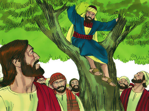 Quando Jesus chegou à árvore, Ele olhou pra cima e disse: "Zaqueu, desce depressa, porque hoje me convém pousar em tua casa." – Slide número 5